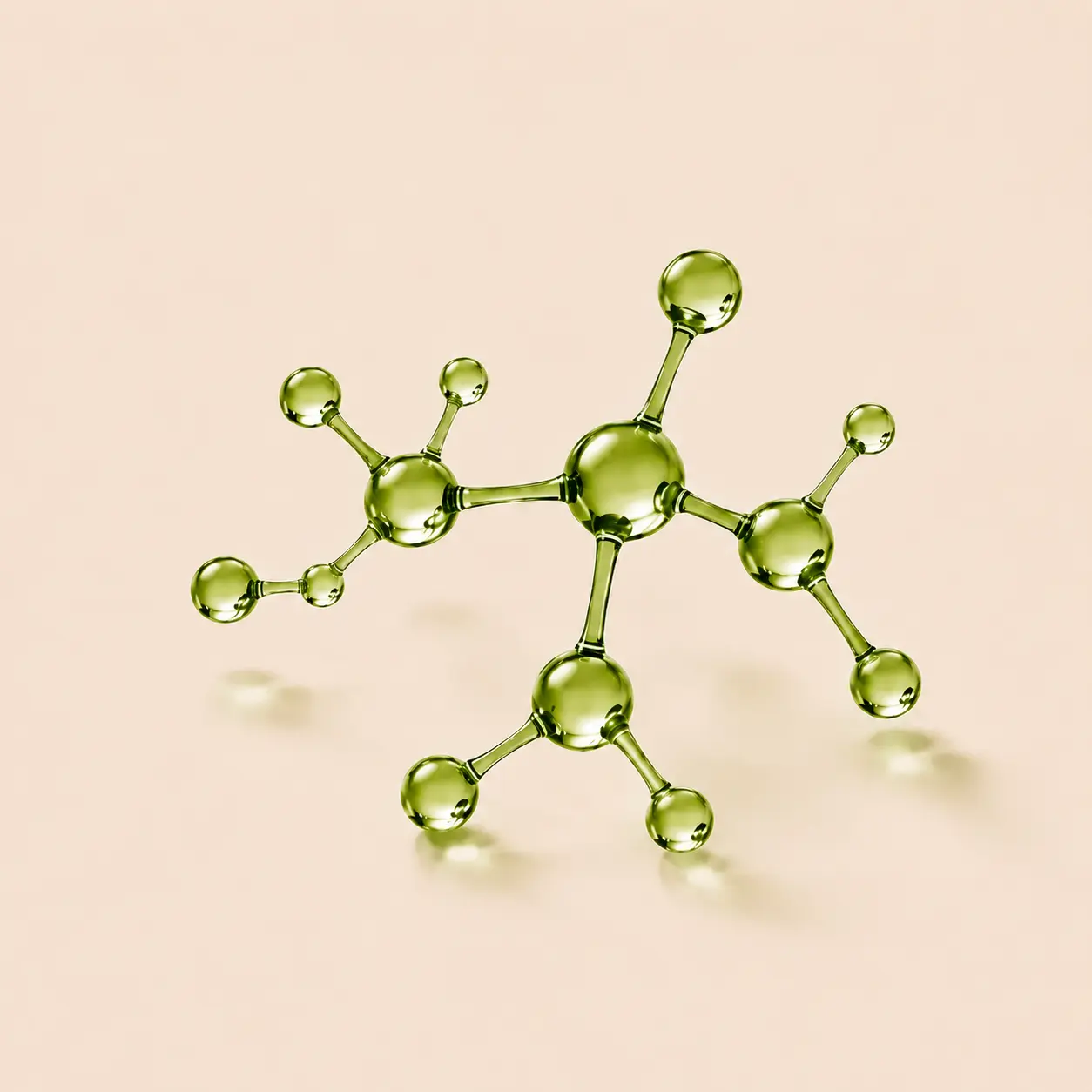 Glass petri dish with a molecular model and olive branch on a light surface