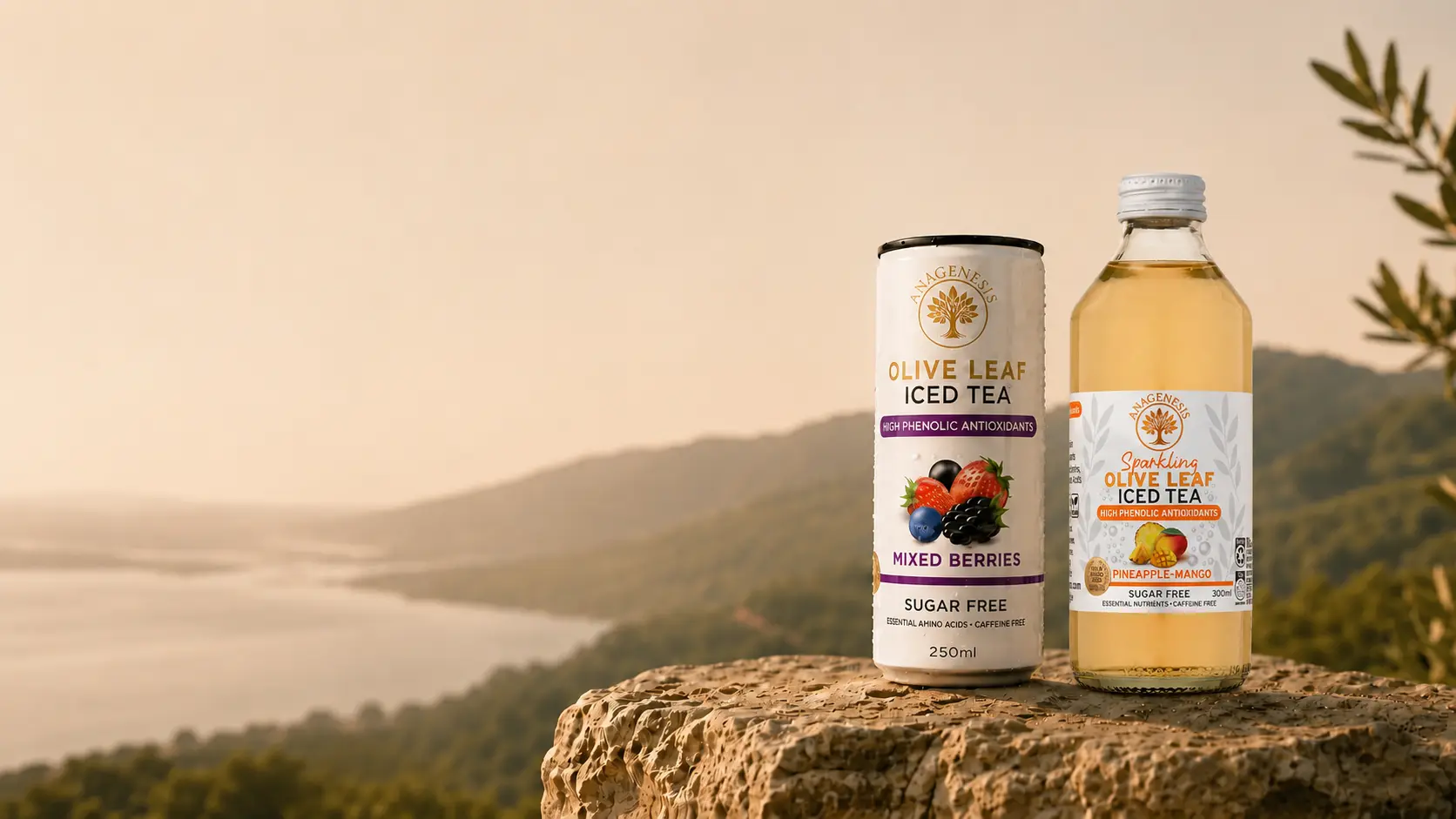 Olive leaf iced tea in a sunlit setting
