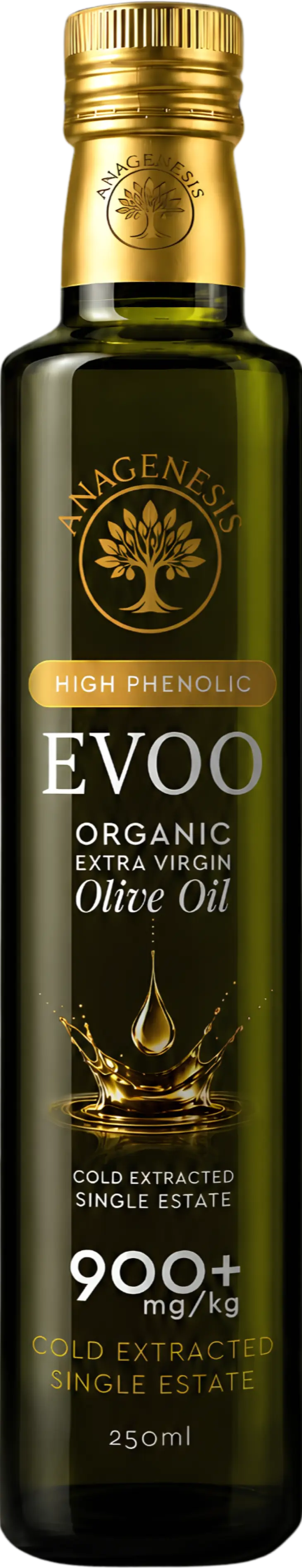 Olive Oil