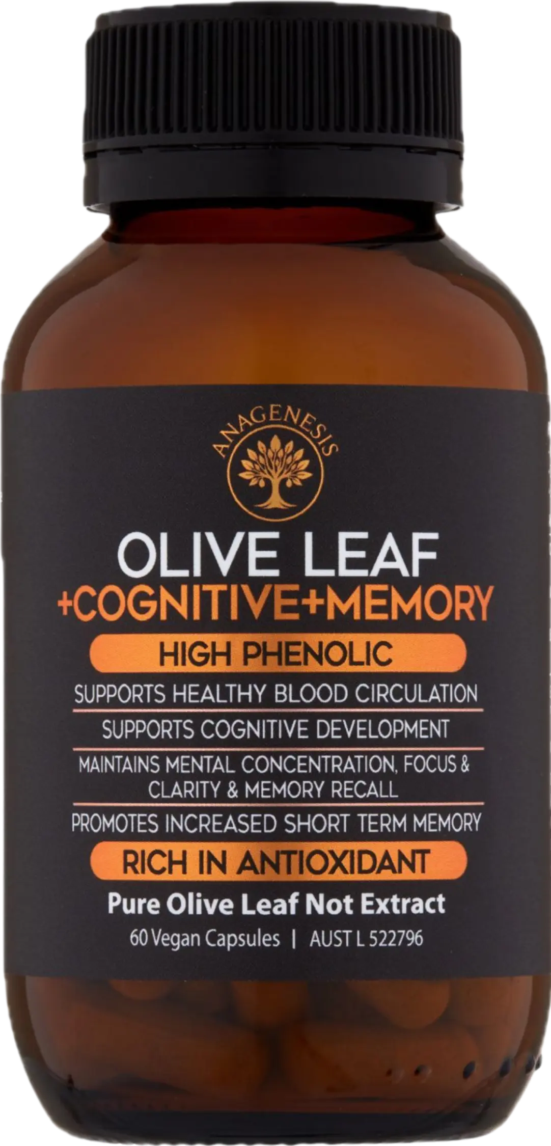 Cognitive + Memory
