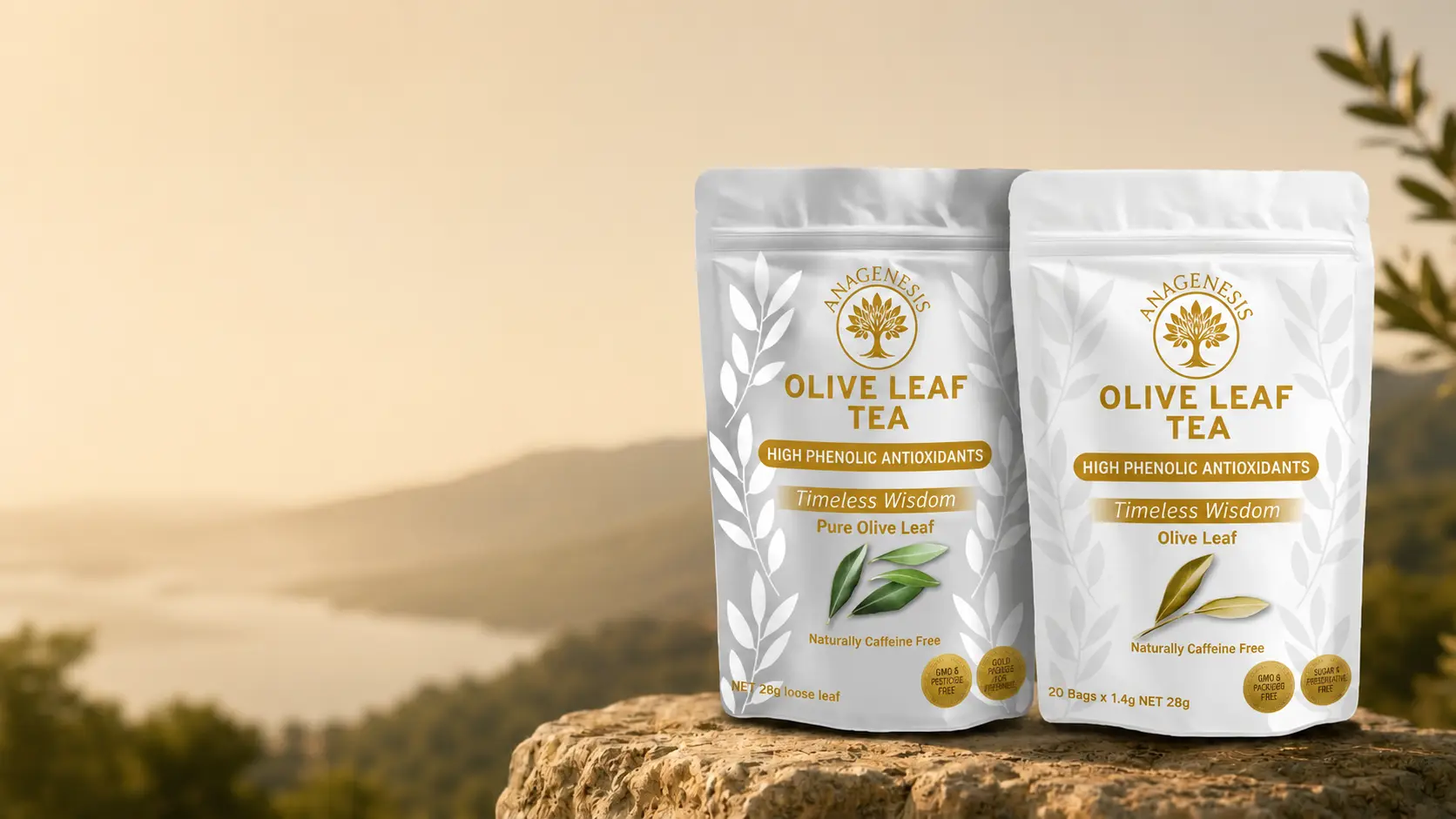 Olive leaf tea bags and loose leaf in a warm setting